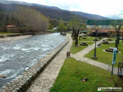 Cerezos en flor; Valle del Jerte; escapadas de un dia desde madrid senderismo moncayo sierra de madr